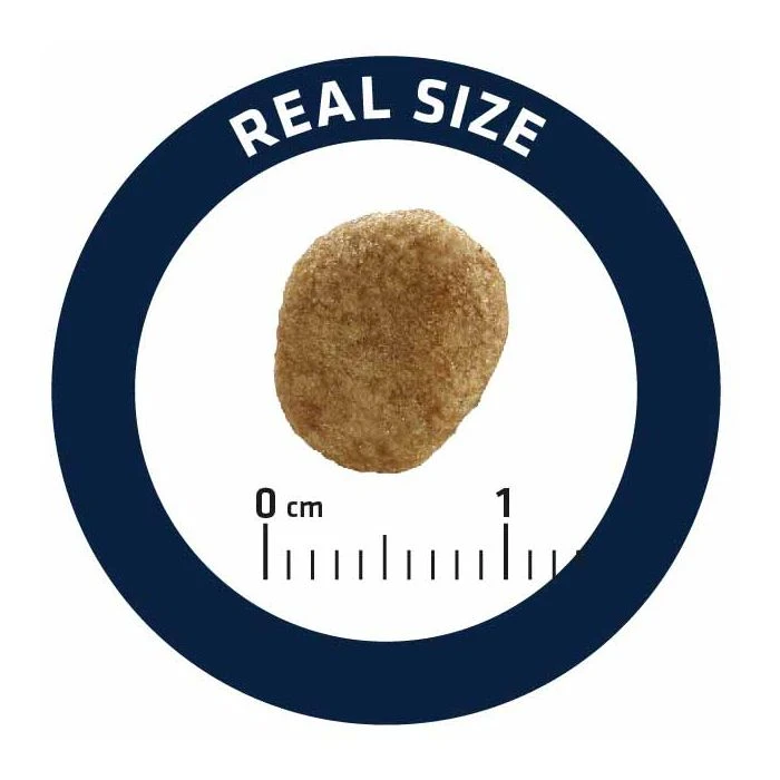 Advance Veterinary Diets Gatto Weight Balance 8 Kg - immagine 2