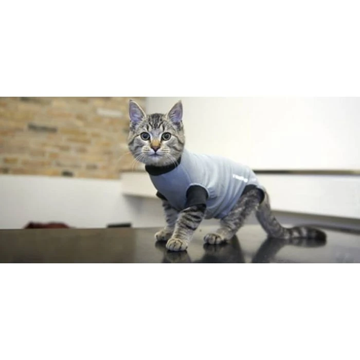 Buster Body Suit Gatto XS - immagine 2