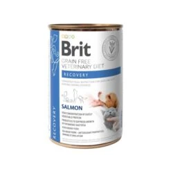 Brit Vet Diet Dog & Cat Recovery Senza Cereali 6 X 400 G