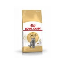 Royal Canin British Shorthair Per Gatto Adulto 10 Kg
