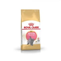 Royal Canin British Shorthair Kitten 2 Kg