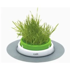 Cat It Senses Grass Planter - Vaso Per Erba Gatta