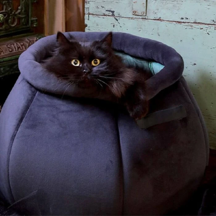 Croci Halloween Cuccetta Tricky Calderone Nero 44 X 30 Cm - immagine 2