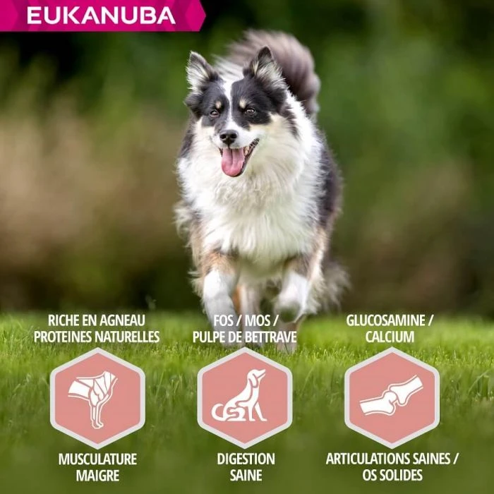 Eukanuba Mature & Senior Agnello 2.5 Kg - immagine 5