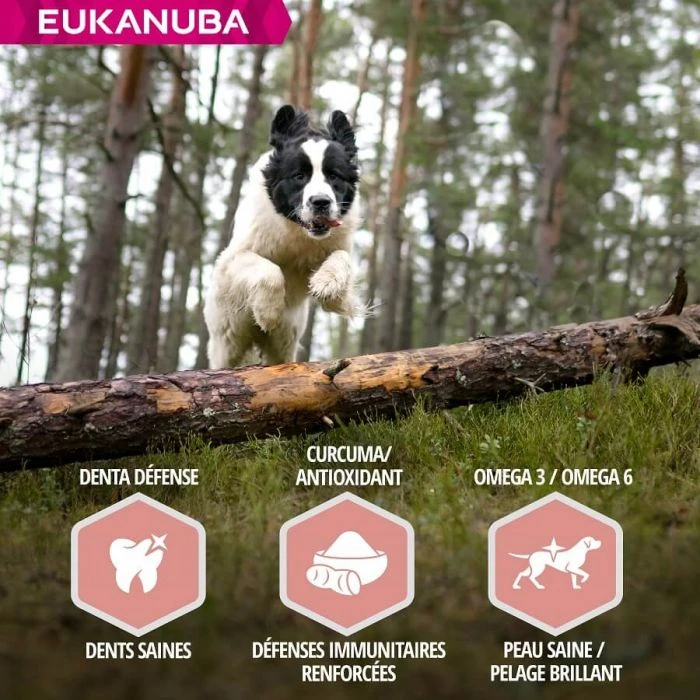 Eukanuba Mature & Senior Agnello 2.5 Kg - immagine 6