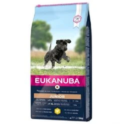 Eukanuba Junior Large Breed Con Pollo Per Cane 15 Kg