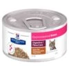 Hill's Prescription Diet Feline Gastrointestinal Biome Spezzatino 24 X 82 G