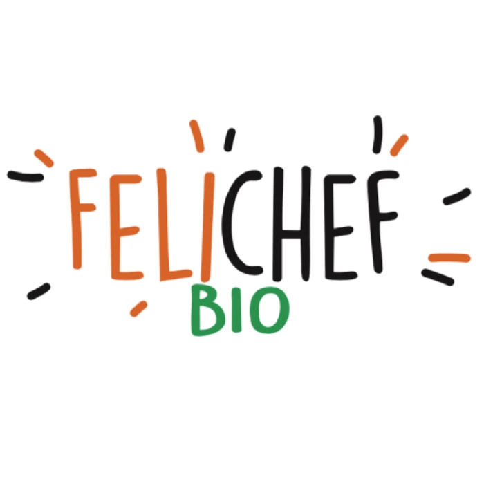 Felichef Terrine Bio Al Salmone Senza Cereali Per Gatto 16 X 100 G - immagine 4