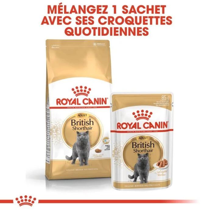 Royal Canin British Shorthair Per Gatto Adulto 10 Kg - immagine 6