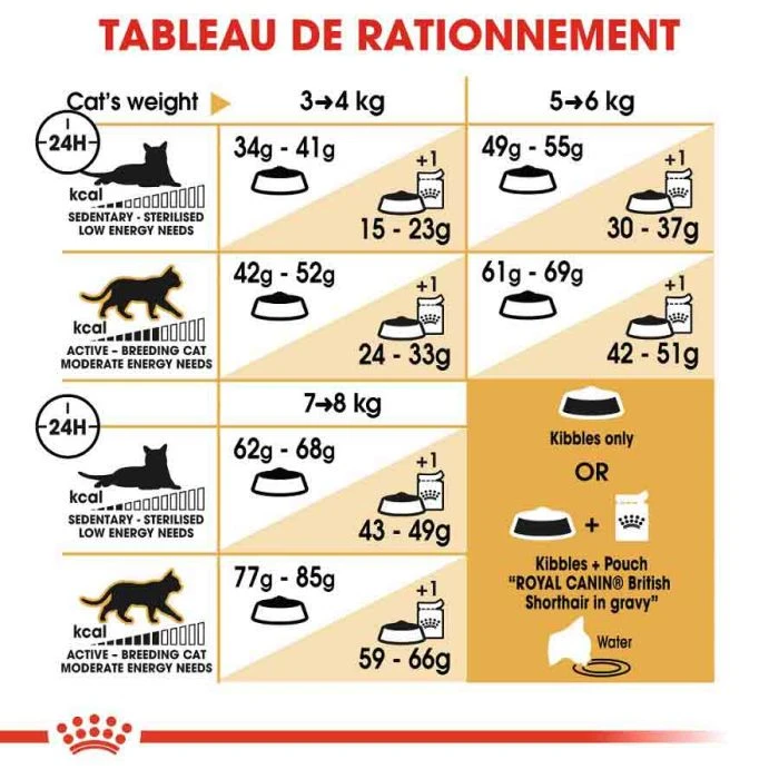 Royal Canin British Shorthair Per Gatto Adulto 10 Kg - immagine 7