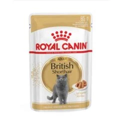 Royal Canin British Shorthair Adult 12 X 85 G