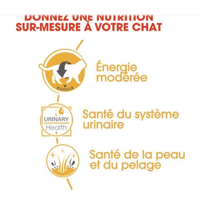 Royal Canin British Shorthair Adult 12 X 85 G - immagine 3