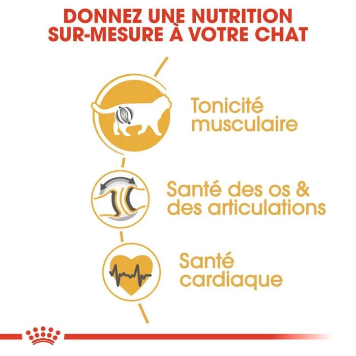 Royal Canin British Shorthair Per Gatto Adulto 4 Kg - immagine 5