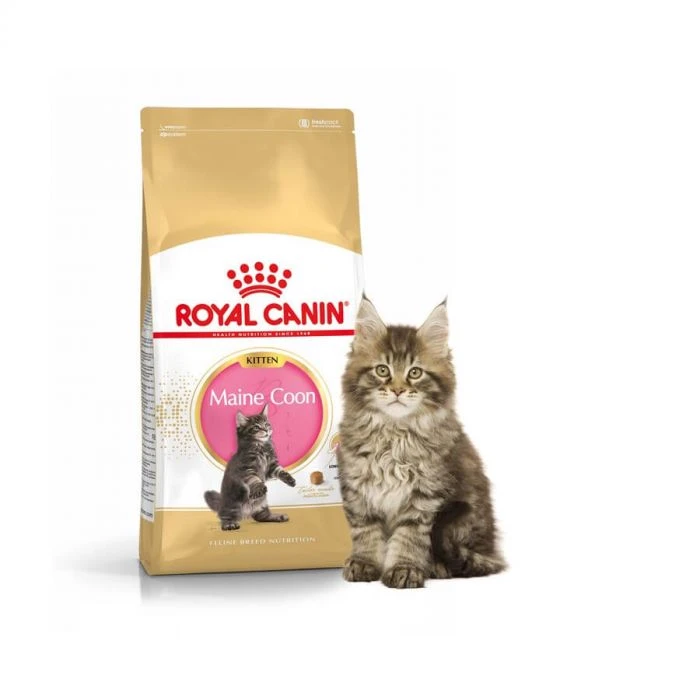 Royal Canin Maine Coon Kitten 2 Kg - immagine 2