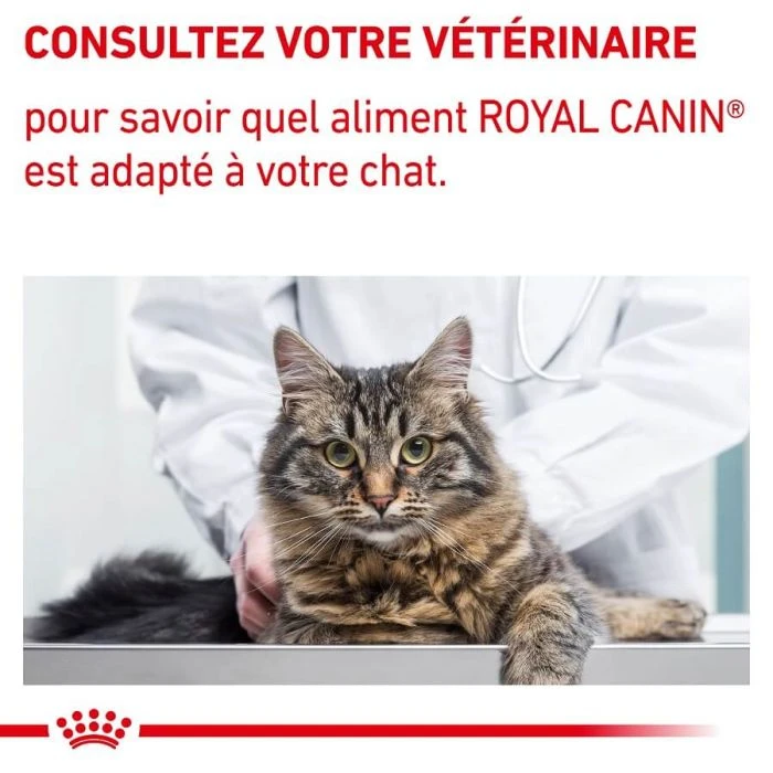 Royal Canin Vet Chat Neutered Balance 12 X 85 G - immagine 8