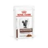 Royal Canin Vet Cat Gastrointestinal Moderate Calorie Bustine 12 X 85 G