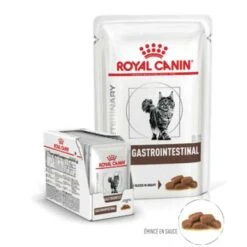 Royal Canin Vet Cat Gastrointestinal Bustine 12 X 85 G