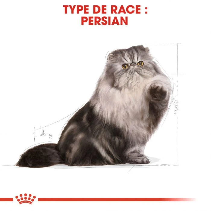 Royal Canin Persian Adult 2 Kg - immagine 4