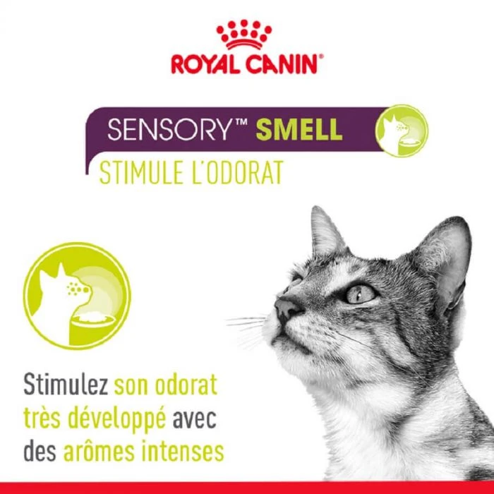 Royal Canin Sensory Multipack Bocconcini/straccetti In Salsa Per Gatto 12 X 85 G - immagine 3