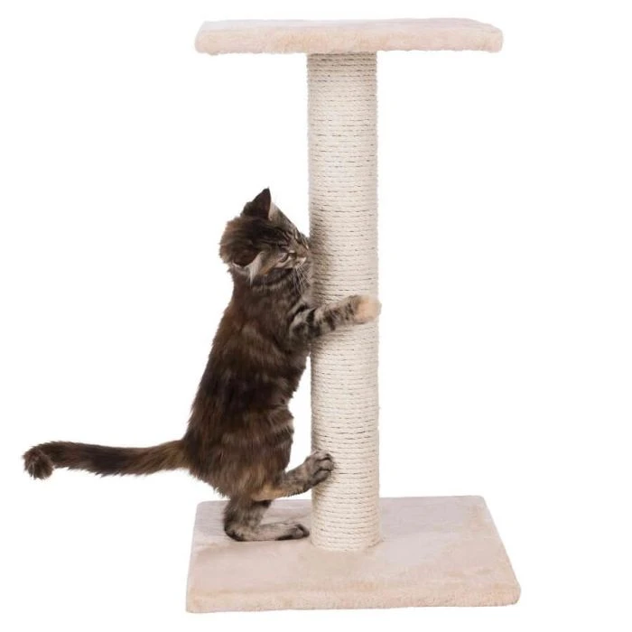 Trixie Tiragraffi Espejo Grigio 69 Cm - immagine 2